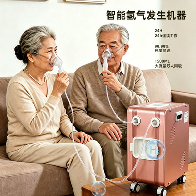 氢气发生器